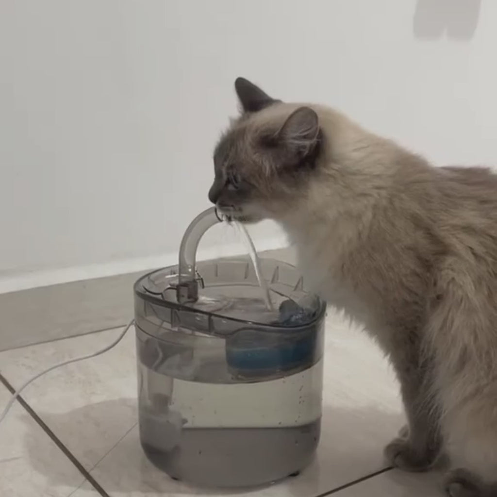 Fuente Inteligente de Agua para Mascotas 🐾💧 con Sensor Automático